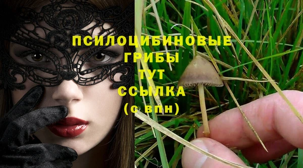 трава Алексин
